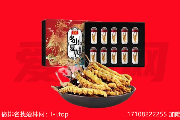忻州市宁武回收虫草.jpg